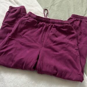 Aritzia TNA Cozy Fleece Mega Fit Sweatpants